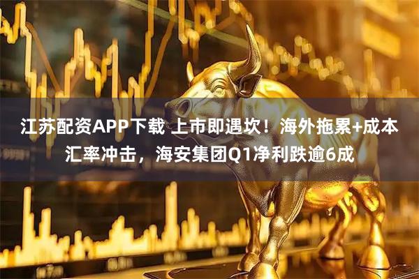 江苏配资APP下载 上市即遇坎！海外拖累+成本汇率冲击，海安集团Q1净利跌逾6成